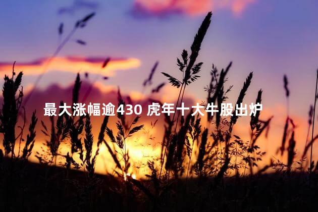 最大涨幅逾430% 虎年十大牛股出炉